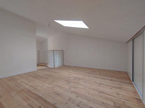 photo no. 1