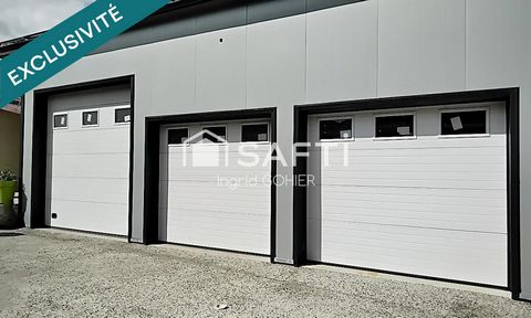photo no. 15