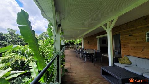 photo no. 6