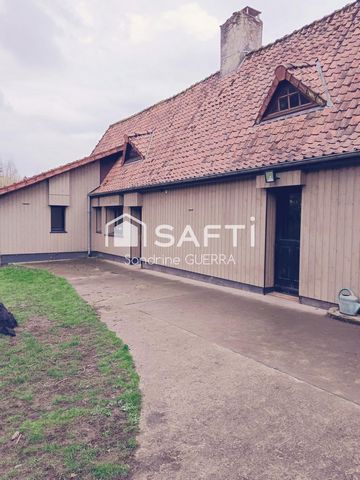 photo no. 19