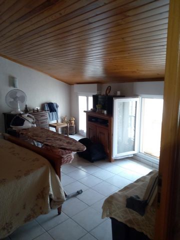 photo no. 5