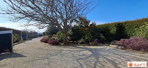 photo no. 2