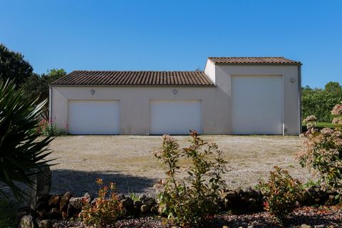 photo no. 15