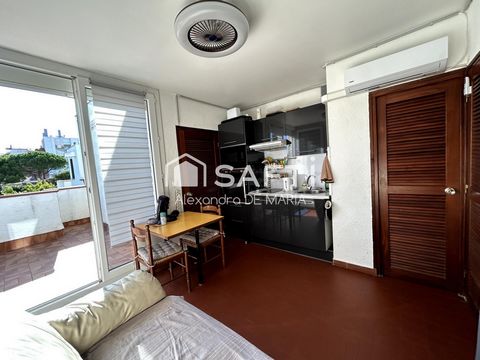 APPARTEMENT CLIMATISE AVEC TERRASSE, PLAGE A 100 M