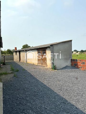photo no. 17