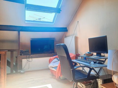 photo no. 11