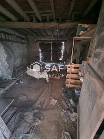 photo no. 4