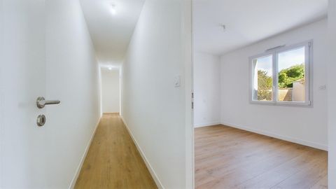 photo no. 8