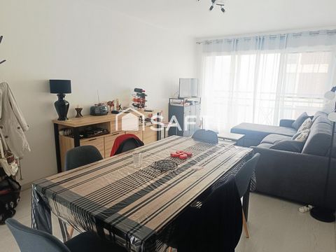 photo no. 12
