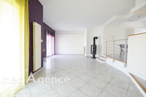photo no. 10