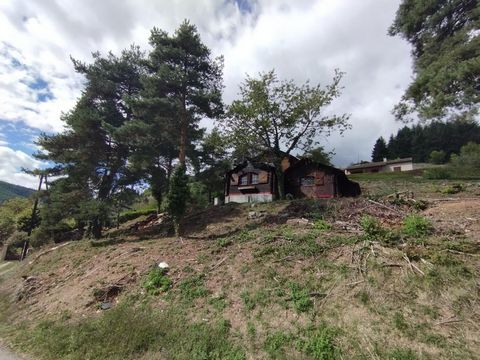 photo no. 4
