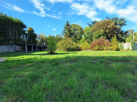 Terrain constructible