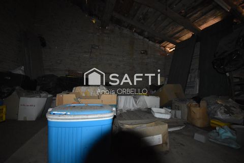 photo no. 12