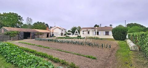 Plain-pied avec dépendances et grand terrain.