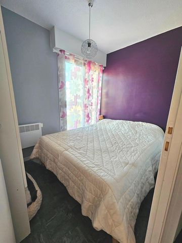 photo no. 5