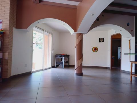 photo no. 4