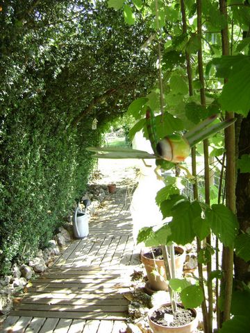 photo no. 8