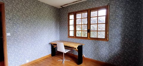 photo no. 12