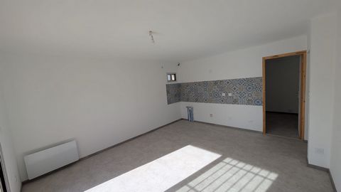 photo no. 2