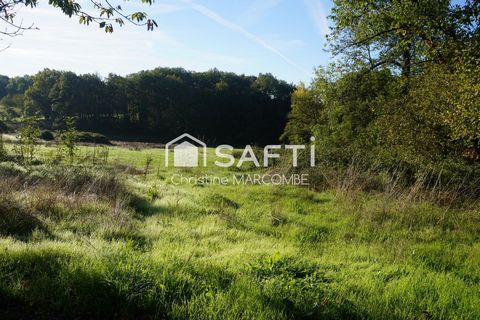 photo no. 16