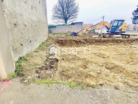 photo no. 8