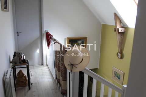 photo no. 6
