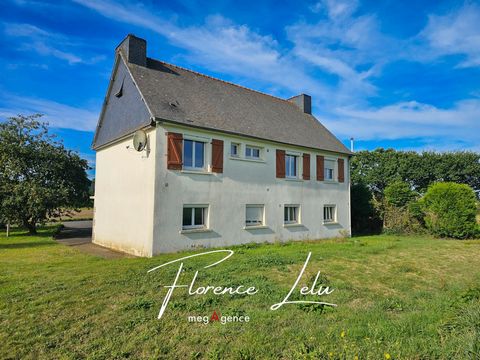Maison familiale - 3 chambres - 4000 m²- Hangar