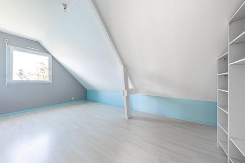 photo no. 7