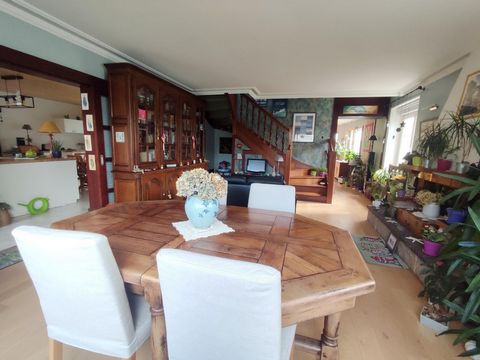 photo no. 6