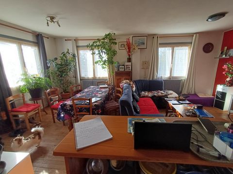 photo no. 6