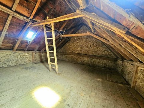 photo no. 15