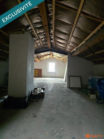 photo no. 15