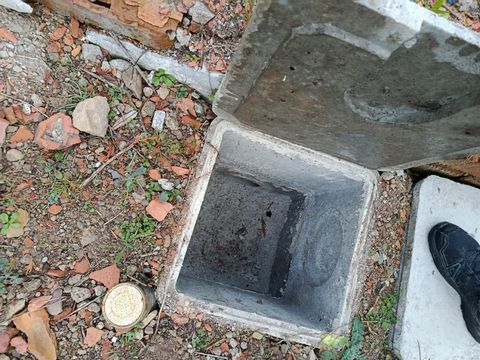 photo no. 10