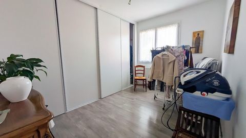 photo no. 12