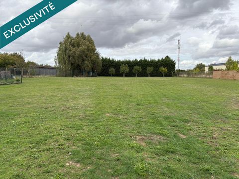 photo no. 10