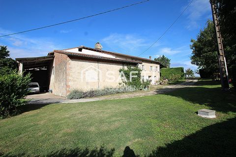 photo no. 15
