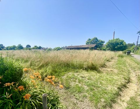 20 MN BAZAS TERRAIN CONSTRUCTIBLE 3100 M&#178;