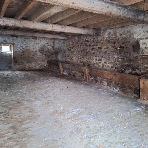 photo no. 11