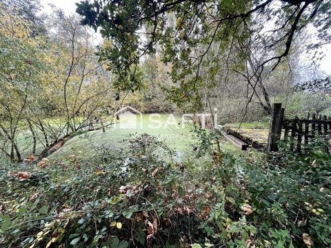 photo no. 8