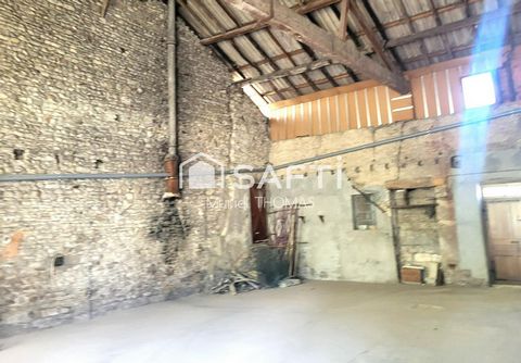 photo no. 2