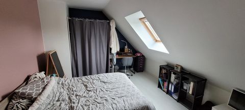 photo no. 9