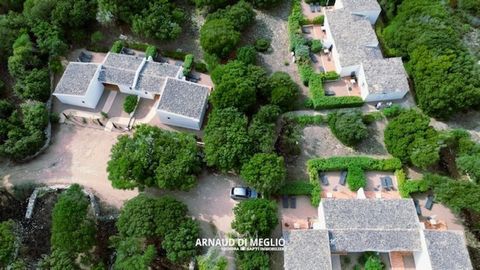 photo no. 13