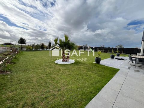 photo no. 11