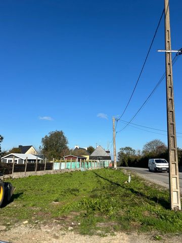 photo no. 2