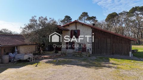 Maison de charme en Pierre avec Grand Terrain