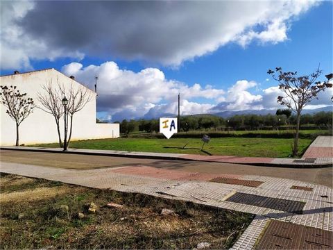 If you´re thinking about constructing your own home here in Spain this could be for you.. This plot of land sits in the quiet village of Salinas in the province of Malaga. The town has great access to the motorway for Granada, Seville and Malaga and ...