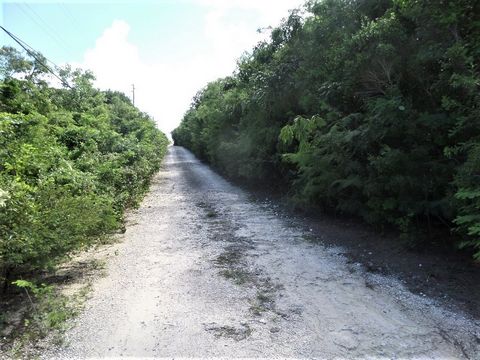 Great opportunity to own your piece of paradise! Build your dream home or cottage and enjoy the beautiful island of Long Island. This property is close to Stella Maris Resort, Marina and Airport. One might have a sea view if a house was built up on s...