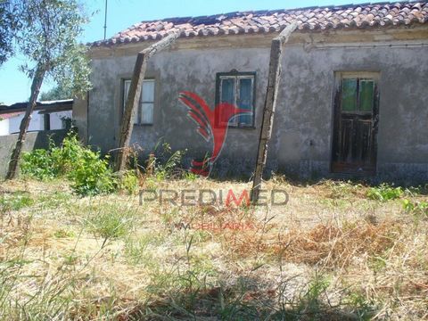Excellent opportunity for your holiday home or permanent housing. Mixed land located in Santa Margarida da Coutada, in the municipality of Constância. Constancy is a municipality of historical importance and union of the River Zêzere with the Tagus. ...