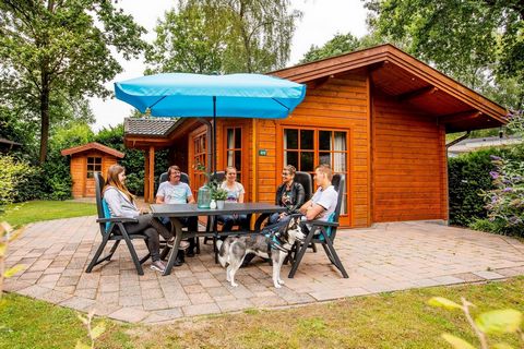 Lunteren, in the Gelderland, is the geographical center of the Netherlands. Surrounded by woods, moors and sand drifts, Lunteren is an ideal destination for lovers of tranquility, space and nature. Discover the authenticity of the Veluwe, with its sm...