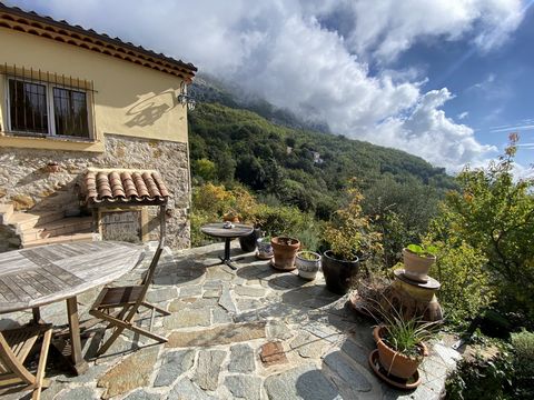 Rare ! On the commune of Castillon (15 min from Menton and 30 from Monaco), in a dominant position facing south, very sunny, a property including an existing house on 2 levels to renovate of 160 m2 including two large terraces, a living room with a b...